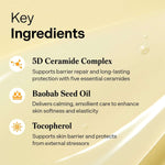 Torriden Solid-In All Day Essence 100ml Lakinza K-beauty