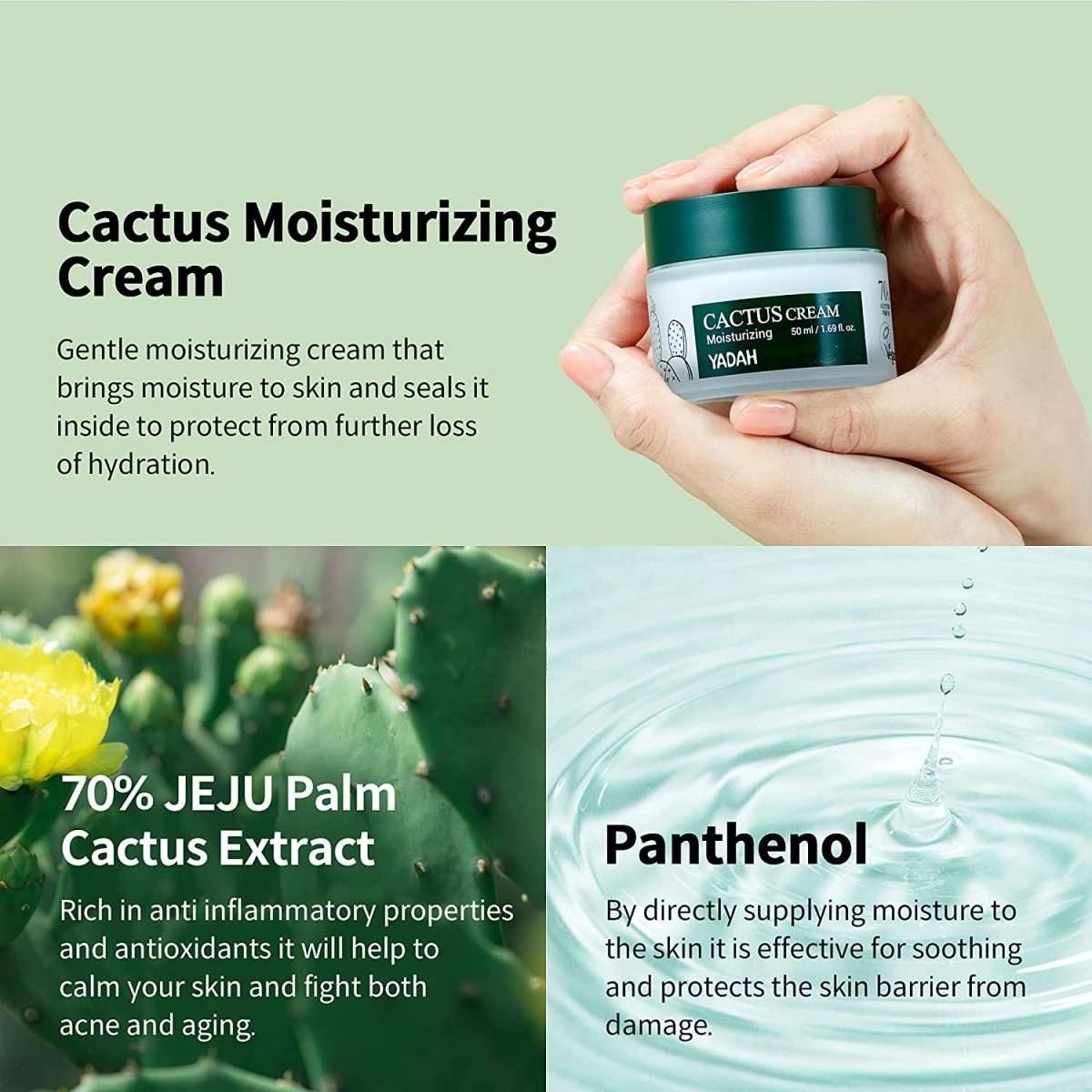 Yadah Cactus Cream 50ml Lakinza K-beauty