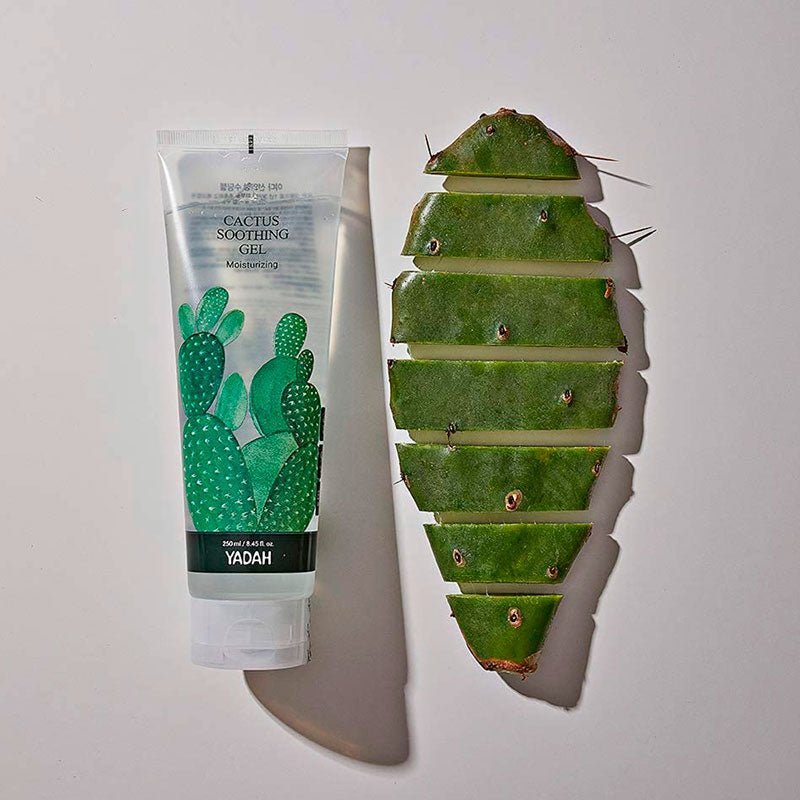 Yadah Cactus Soothing Gel 250ml Lakinza K-beauty